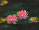 Waterlilies (ART-3512-108384) - Handpainted Art Painting - 15in X 11in