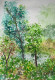 Hidden Pond (ART-8841-108558) - Handpainted Art Painting - 8in X 11in