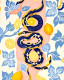 Snakes And Lemons (PRT-16566-108725) - Canvas Art Print - 24in X 30in