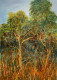 Bushes Capturing The Sunset (ART-8841-108790) - Handpainted Art Painting - 10in X 14in