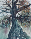 An Old Tree (PRT-8841-108835) - Canvas Art Print - 19in X 24in
