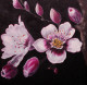 Pink Perfection (ART-16761-108947) - Handpainted Art Painting - 12in X 12in