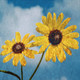 Flower,Floral,Colorful Flowers,Sunflowers