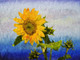 Flower,Floral,Colorful Flowers,Sunflowers