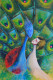 Radha-Krishna & Peacock, (252) Symbolic Figurative Abstract (ART-15639-109007) - Handpainted Art Painting - 10in X 15in