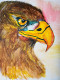Canvas Acrylic Painting_Eagle. (ART-16801-109193) - Handpainted Art Painting - 16in X 20in