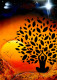 Welcoming Peace (ART-16799-109268) - Handpainted Art Painting - 20in X 28in