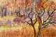 Transition Of Season (PRT-8841-109368) - Canvas Art Print - 30in X 20in