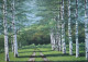 The Path Of Peace (PRT-16822-109484) - Canvas Art Print - 36in X 26in