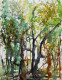 Forest Scene (PRT-8841-109487) - Canvas Art Print - 23in X 30in