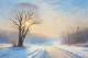 A Snowy Escape (PRT-16861-109661) - Canvas Art Print - 36in X 24in
