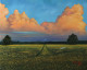 Farm Clouds (ART-976-109835) - Handpainted Art Painting - 30in X 24in
