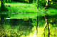 Natural Landscape Water Reflection (PRT-8645-109943) - Canvas Art Print - 24in X 16in