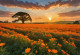 Fields Of Fire (PRT-16861-110193) - Canvas Art Print - 36in X 25in