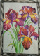 Irises In A Frame (ART-3827-110005) - Handpainted Art Painting - 12in X 16in