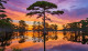 Golden Hour's Peaceful Reflection (PRT-16861-110104) - Canvas Art Print - 42in X 24in