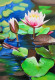 Lotus (ART-329-110240) - Handpainted Art Painting - 11in X 16in
