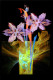 Abstract Still Life (PRT-16909-110275) - Canvas Art Print - 12in X 18in