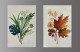 Lush Hues (ART-16890-110162) - Handpainted Art Painting - 18in X 14in