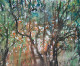 Light And Shadows In Forest (PRT-8841-110587) - Canvas Art Print - 30in X 25in