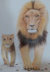 Lion (ART-15368-111088) - Handpainted Art Painting - 11in X 16in