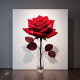 Floral Art 0001 (PRT-16612-110955) - Canvas Art Print - 24in X 24in