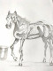 A Thirsty Horse (ART-16989-111391) - Handpainted Art Painting - 8in X 12in