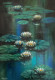 Waterlilies (ART-3512-111510) - Handpainted Art Painting - 22in X 32in