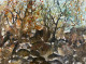 Rocky Forest (PRT-8841-111284) - Canvas Art Print - 30in X 22in