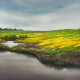 Untitled (ART-17046-111823) - Handpainted Art Painting - 36in X 36in