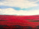 Untitled (ART-17046-111830) - Handpainted Art Painting - 48in X 36in