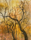 Bare Trees (PRT-8841-112204) - Canvas Art Print - 19in X 24in