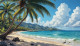 Beach Coconut 2 (PRT-8991-112360) - Canvas Art Print - 60in X 34in