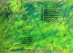 Windswept (ART-17133-112522) - Handpainted Art Painting - 16in X 11in