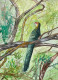Bird 10 (ART-8841-112621) - Handpainted Art Painting - 8in X 11in