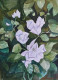 Bougainvillea Blooms (ART-7389-112644) - Handpainted Art Painting - 10in X 14in