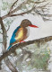Bird 11 (ART-8841-112622) - Handpainted Art Painting - 8in X 11in