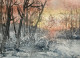 Morning After Snowfall (PRT-8841-112705) - Canvas Art Print - 24in X 17in