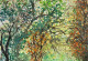 Vibrant Foliage (PRT-8841-112707) - Canvas Art Print - 24in X 17in