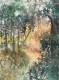 A Forest Scene (ART-8841-112734) - Handpainted Art Painting - 8in X 11in