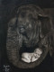 'Nature's Cradle' (ART-17199-113074) - Handpainted Art Painting - 8in X 12in