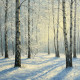 Whispers Of A Winter Forest (PRT-15697-113129) - Canvas Art Print - 36in X 36in