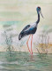 Bird 14 (ART-8841-113142) - Handpainted Art Painting - 8in X 11in