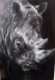 Rhinoceros (ART-17220-113264) - Handpainted Art Painting - 8in X 12in