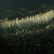 Dots_SeriesI (ART-464-113272) - Handpainted Art Painting - 36in X 36in