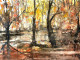 Reflections (PRT-8841-113339) - Canvas Art Print - 30in X 22in
