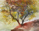 Yellow Tree (PRT-8841-113337) - Canvas Art Print - 24in X 20in