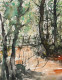 Path In The Middle (PRT-8841-113342) - Canvas Art Print - 18in X 24in