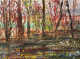 Reflections (PRT-8841-113336) - Canvas Art Print - 30in X 22in