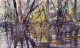 Reflections (PRT-8841-113334) - Canvas Art Print - 30in X 18in